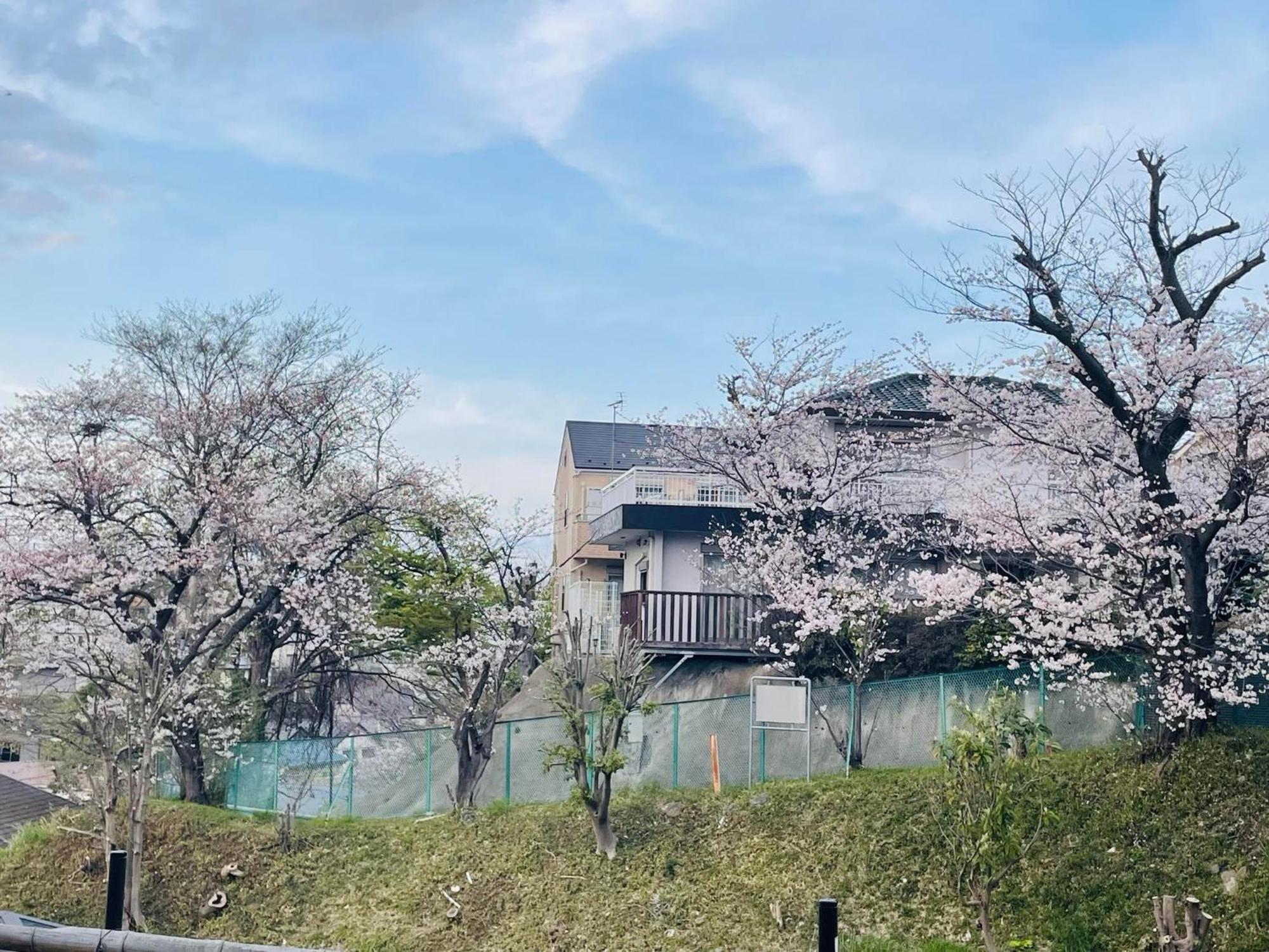 Отель ソフィアハウス横浜 -女性専用シェアハウス- Sopfia House Yokohama For Women Only Shared House Экстерьер фото